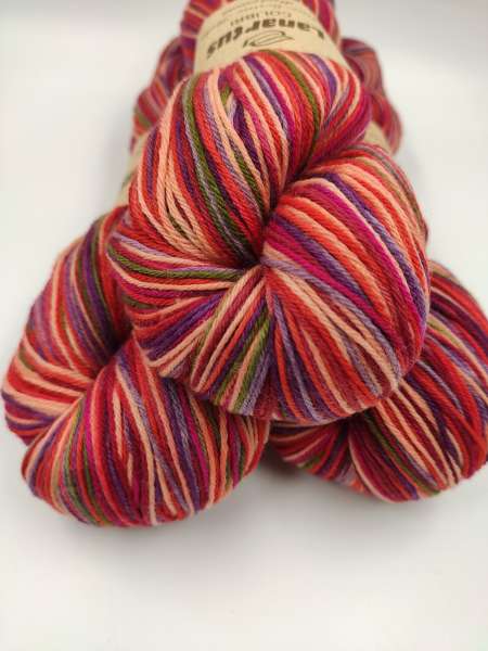Fine Merino Socks ***  COLIBRI  116 ( Lanartus )